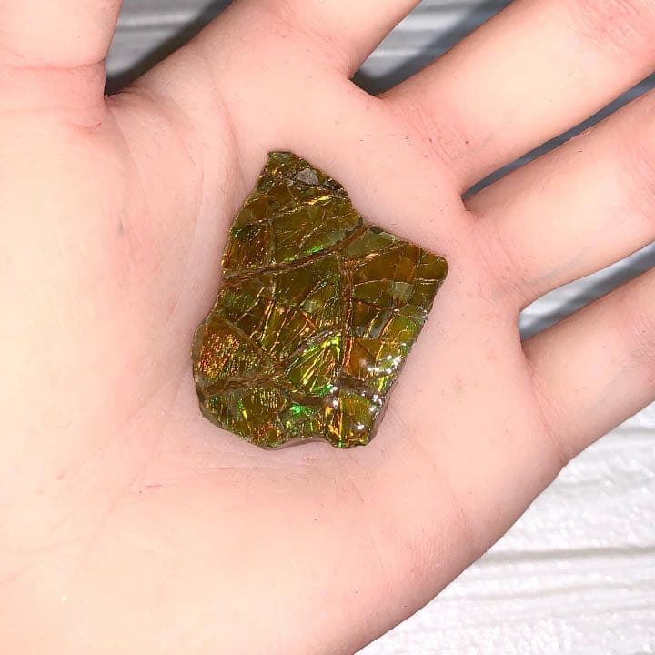 【アンモライト】貴重！美しいアンモライト