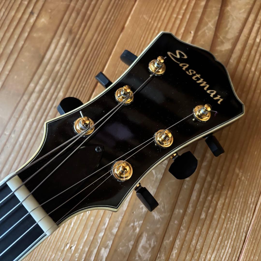 希少 Eastman AR803ce-16