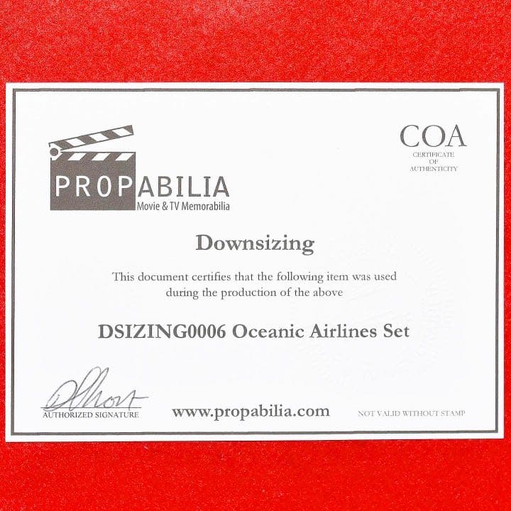 『ダウンサイズ』小道具 ヘッドレストカバー