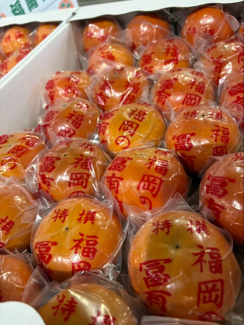 富有柿(冷蔵柿) 4箱　L〜2Sサイズ5k箱　福岡県産