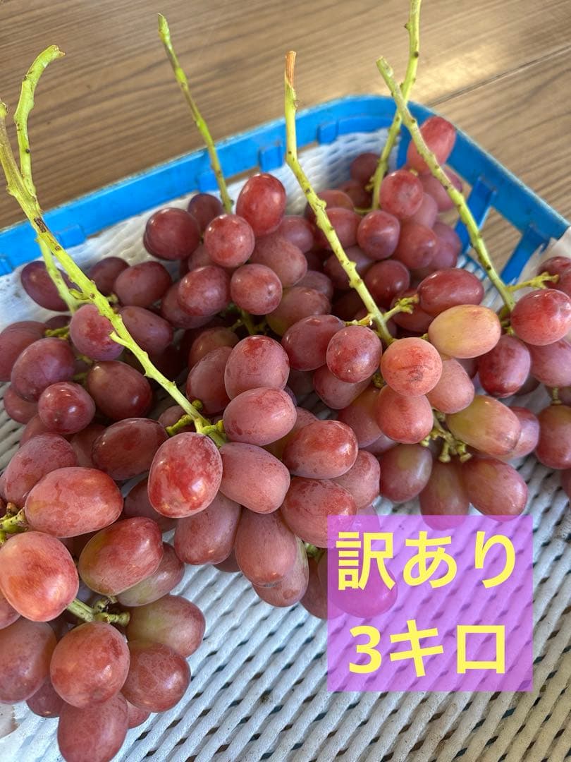 訳あり⭐︎クイーンルージュ　３キロ