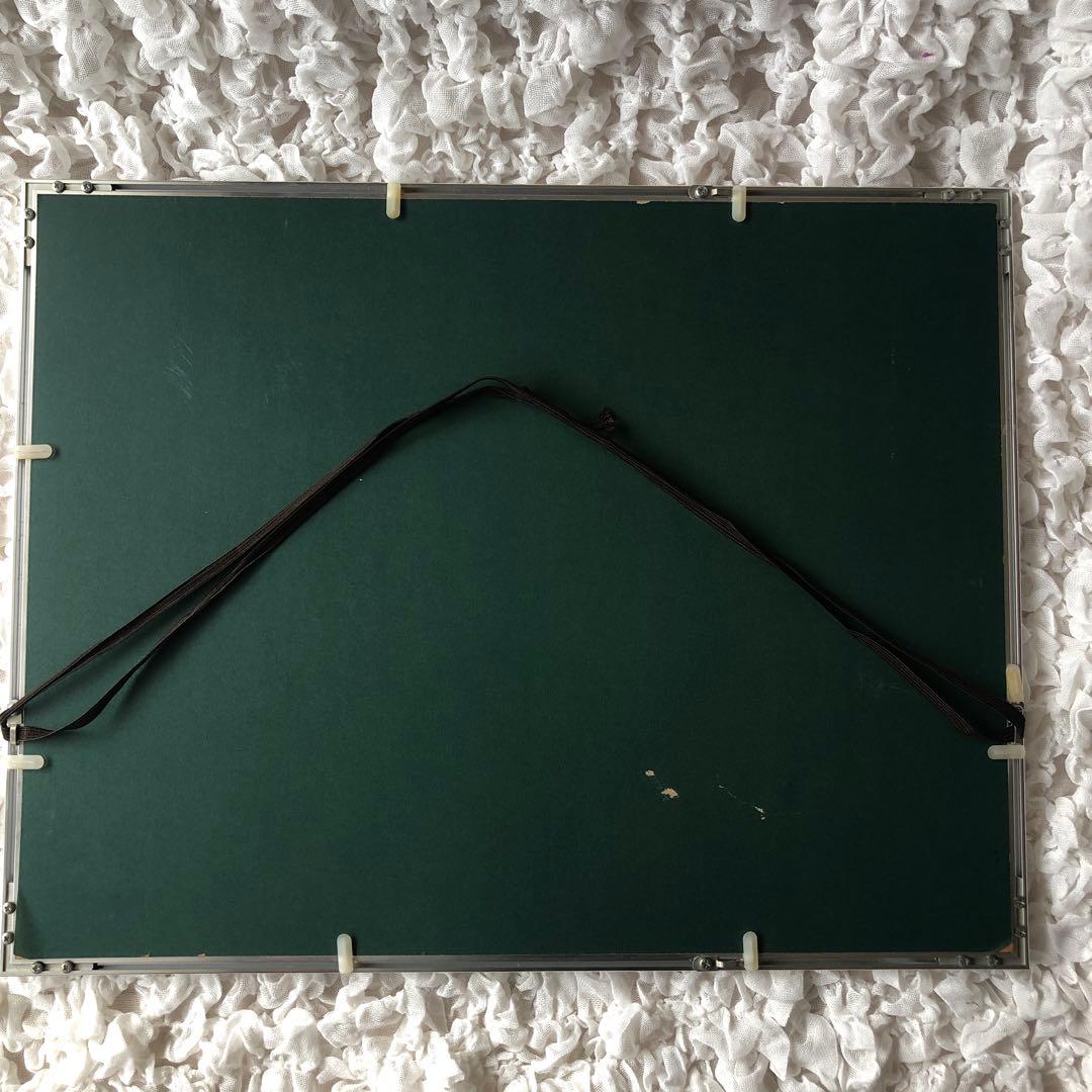 希少　モルフォ蝶 飾り額 標本　コレクション　アクセサリー素材