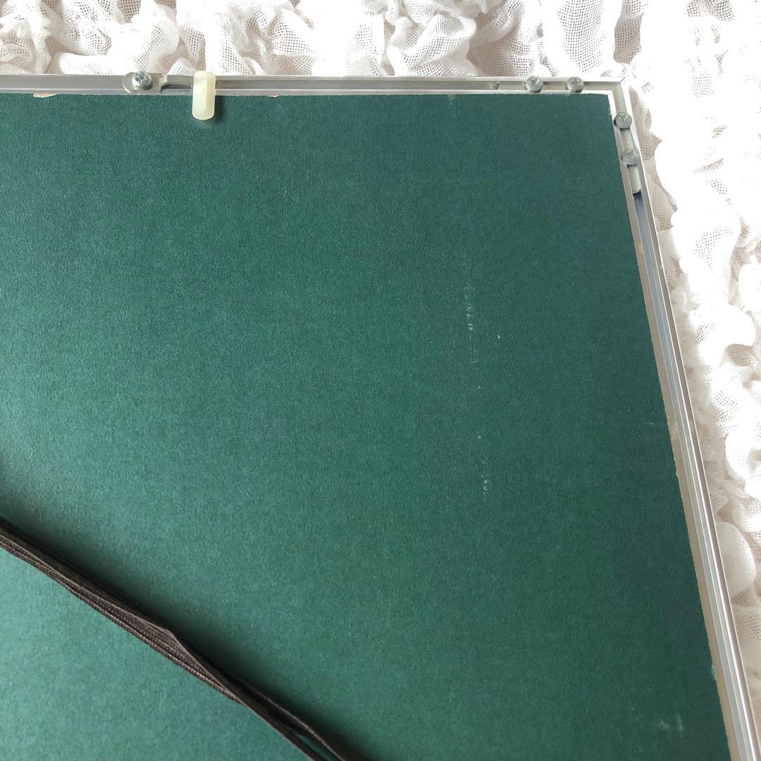 希少　モルフォ蝶 飾り額 標本　コレクション　アクセサリー素材