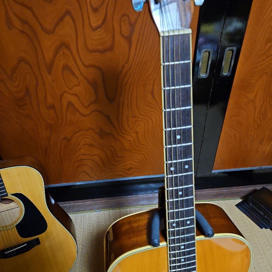 Morris アコースティックギター MD506