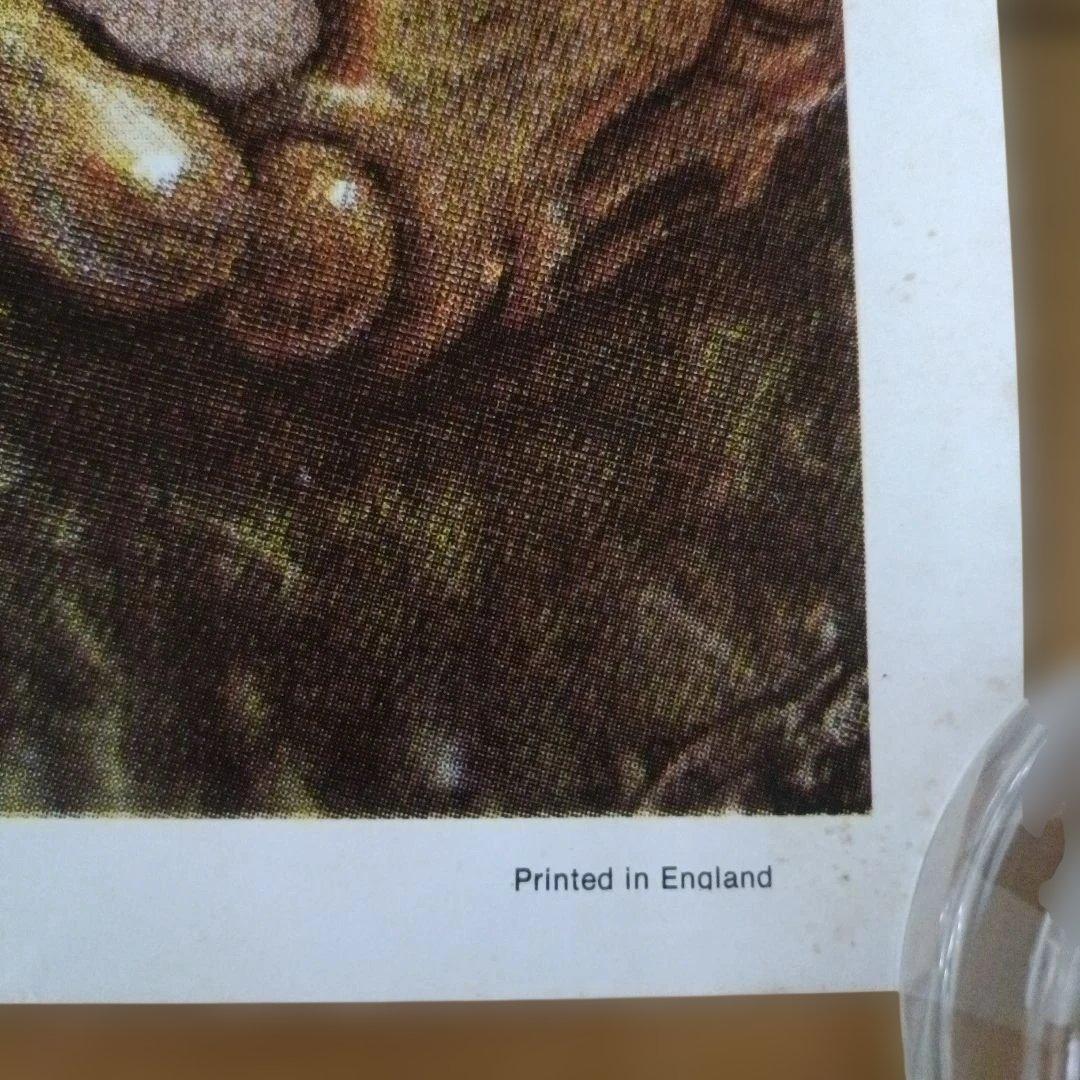 GRATEFUL DEAD 1980 ポスターDead Set