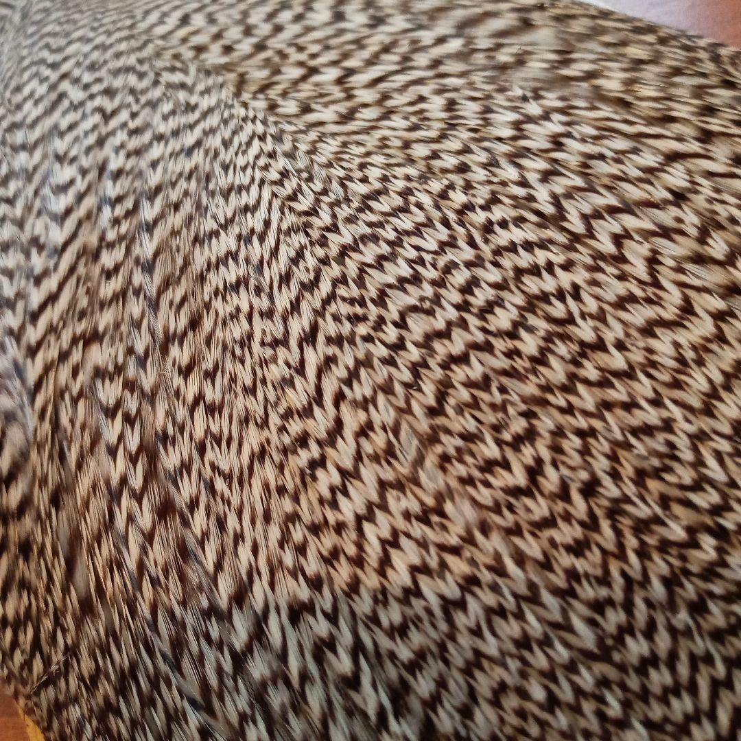 メッツ　コックネック　グリズリー 　♯1　ハックル