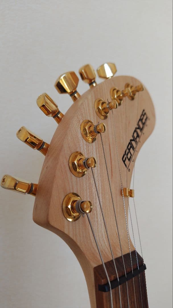 ギター FERNANDES DIGI-ZO HYPER