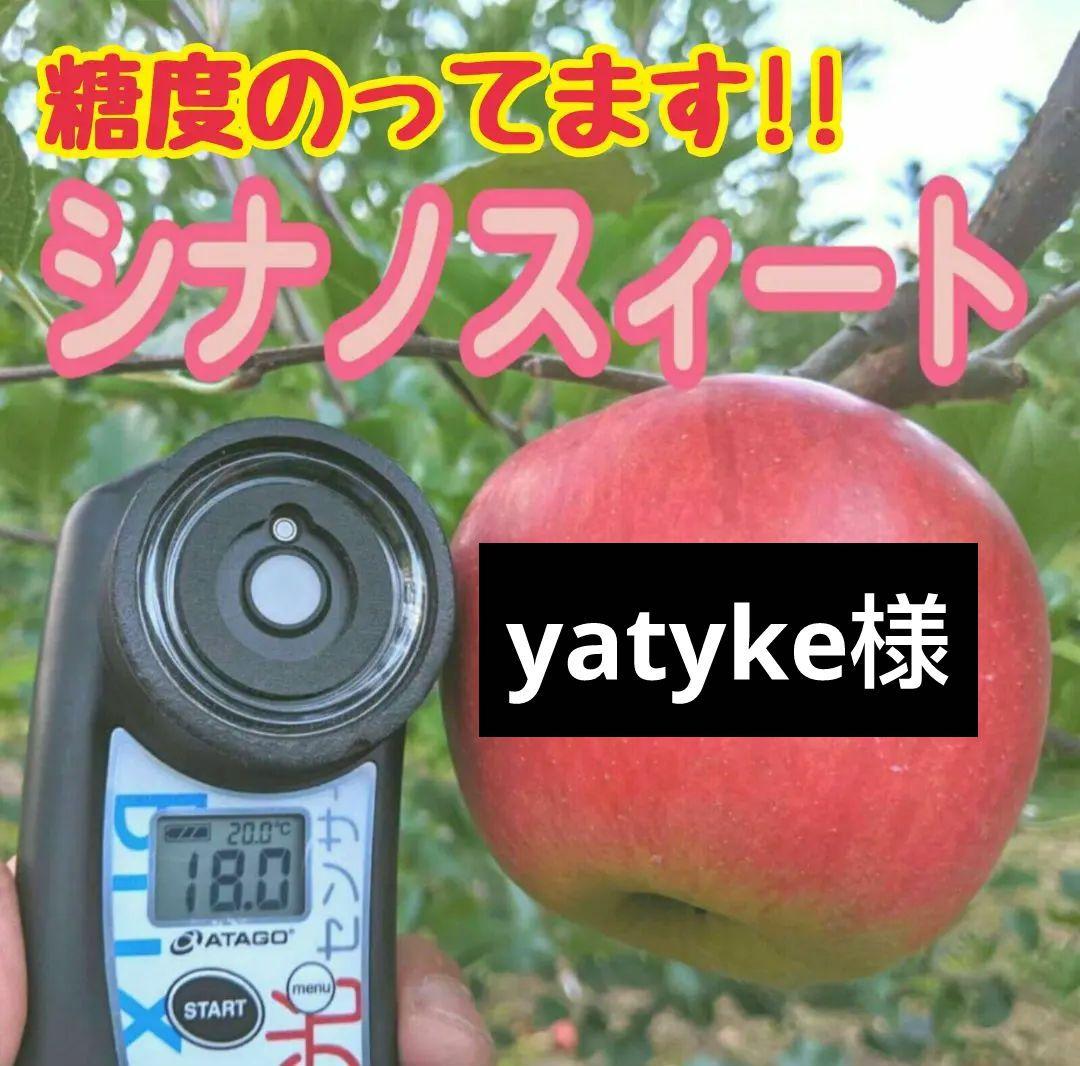 yatyke様10キロ