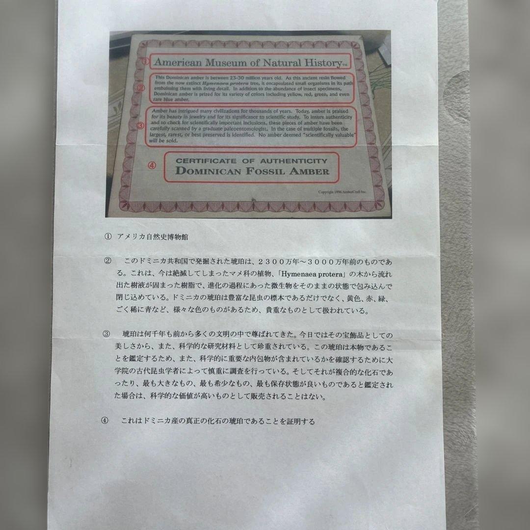 琥珀　ドミニカンアンバー 昆虫化石入り琥珀額