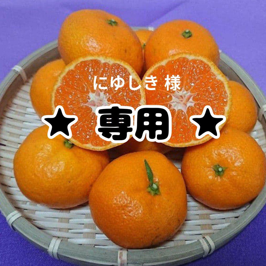 ✩にゆしき様✩専用 南柑20号 贈答用10キロ×2箱