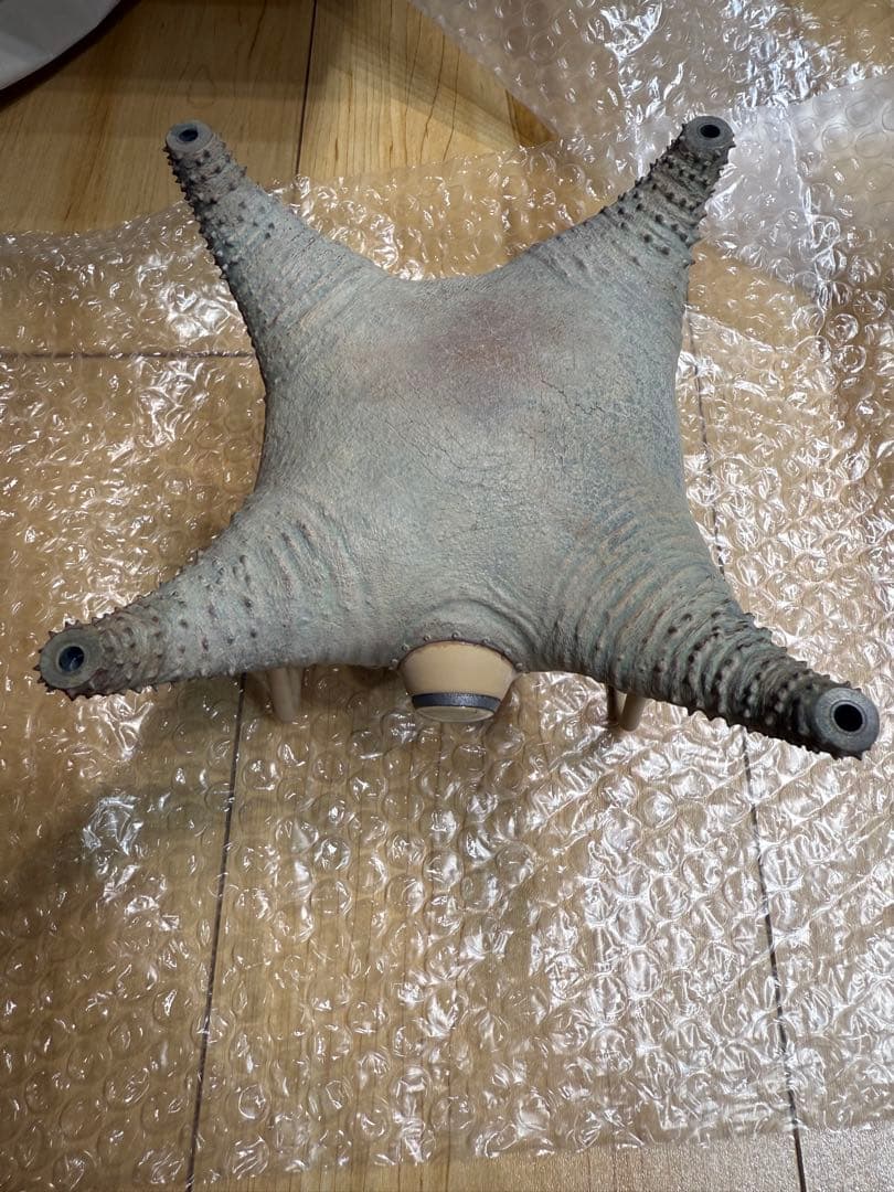 OZWRT Pachypodium Drone オズワート