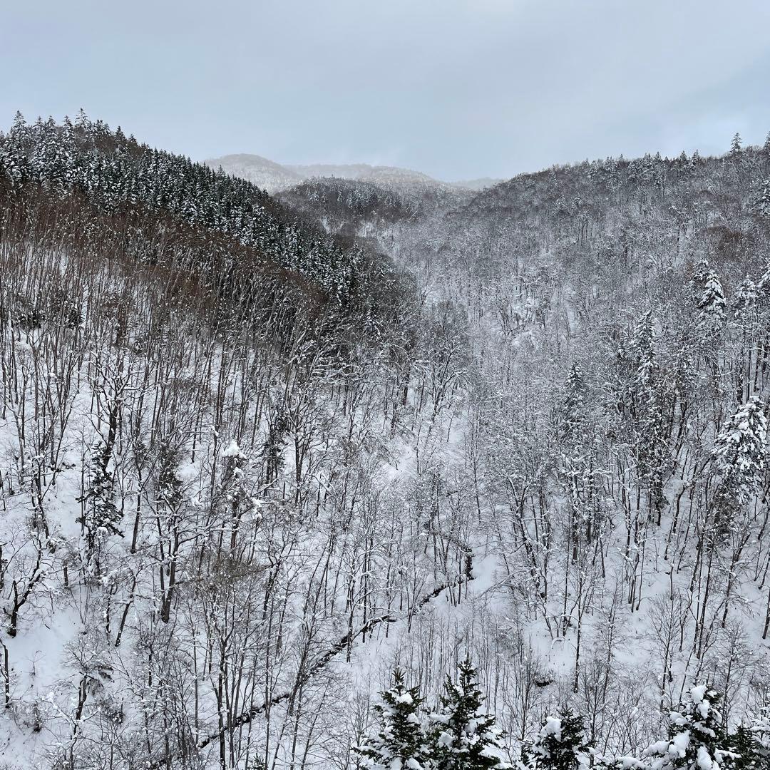 鹿ジャーキー犬用1.２キロ