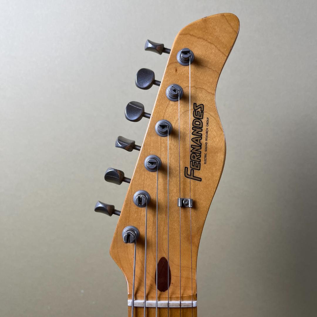 Fernandes TE-1 (Fender Japan TL62B ボディ)