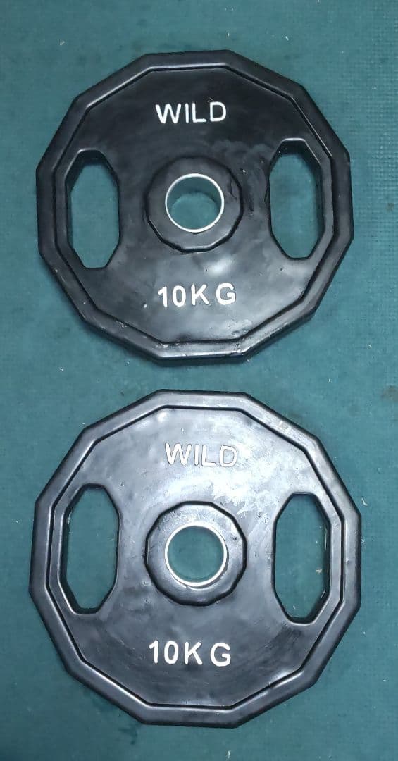 オリンピック プレート ワイルドフィット 10kgプレート 2枚