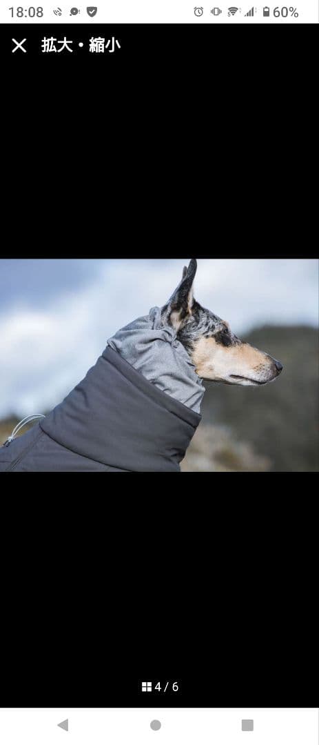 ▲フルッタ エクストリームオーバーオール グレー 30S