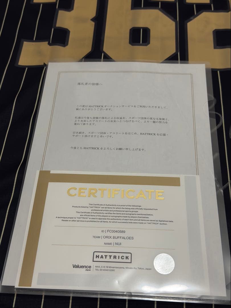 応援グッズ bsgravity