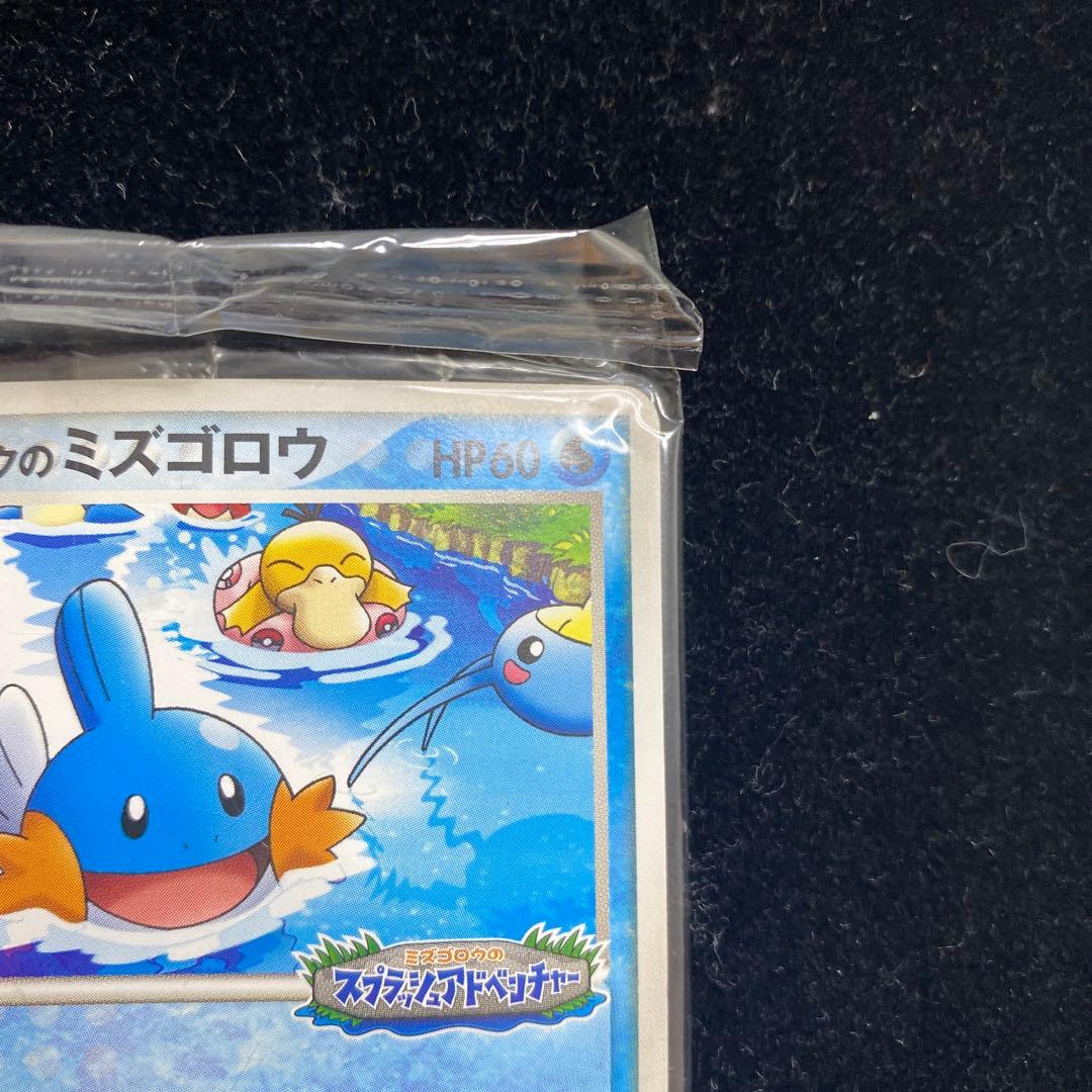 ポケパークのミズゴロウ 048/PCG スプラッシュアドベンチャー　ポケカ