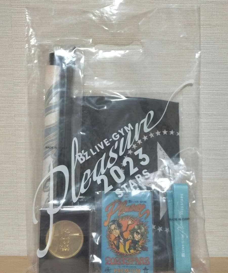 B'z LIVE-GYM Pleasure 2023 STARSプレミアム席