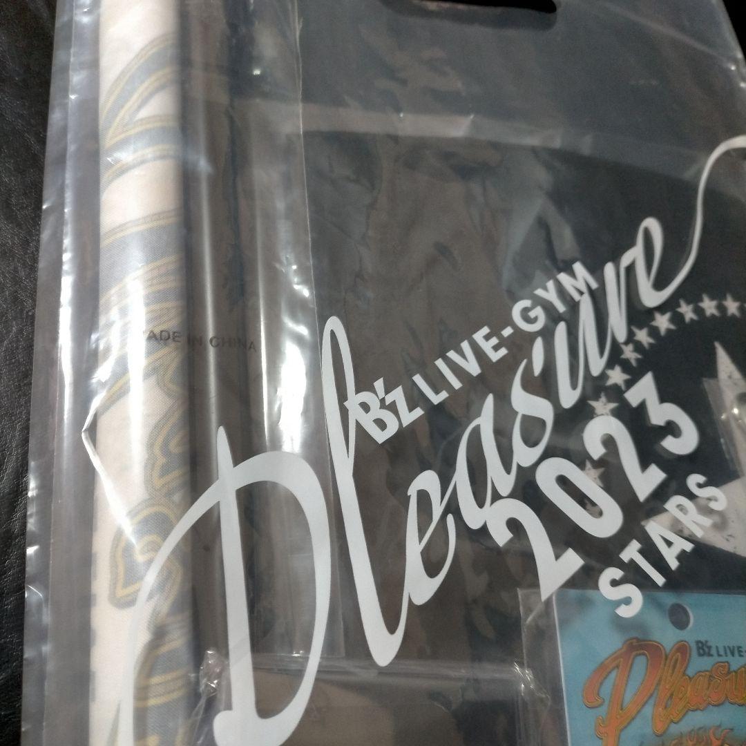 B'z LIVE-GYM Pleasure 2023 STARSプレミアム席
