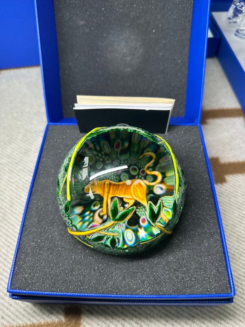 Hermes SAINT LOUIS 虎 新品未使用