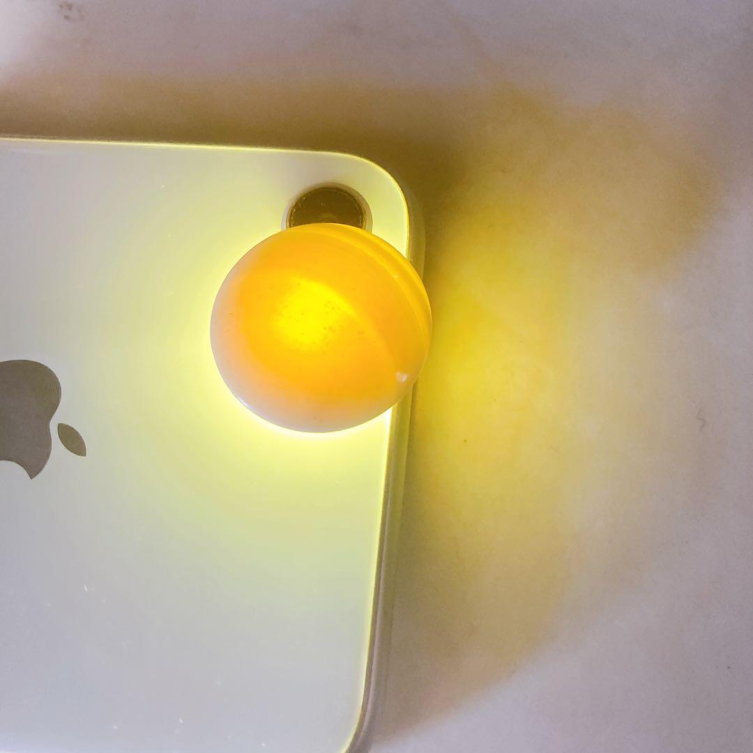 高級 囲碁版 セット へそあり 板目木表 昭和52年 レトロ 蛤石 那智黒石