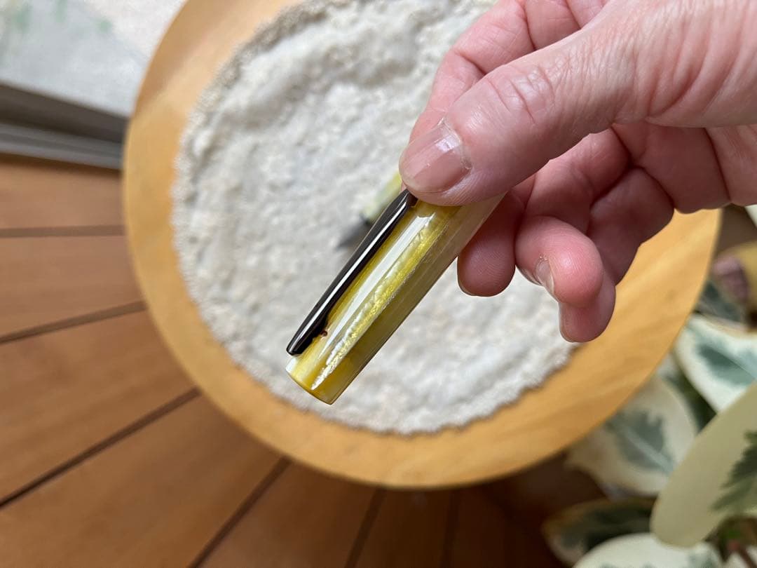 Stipula TITANIO F 万年筆