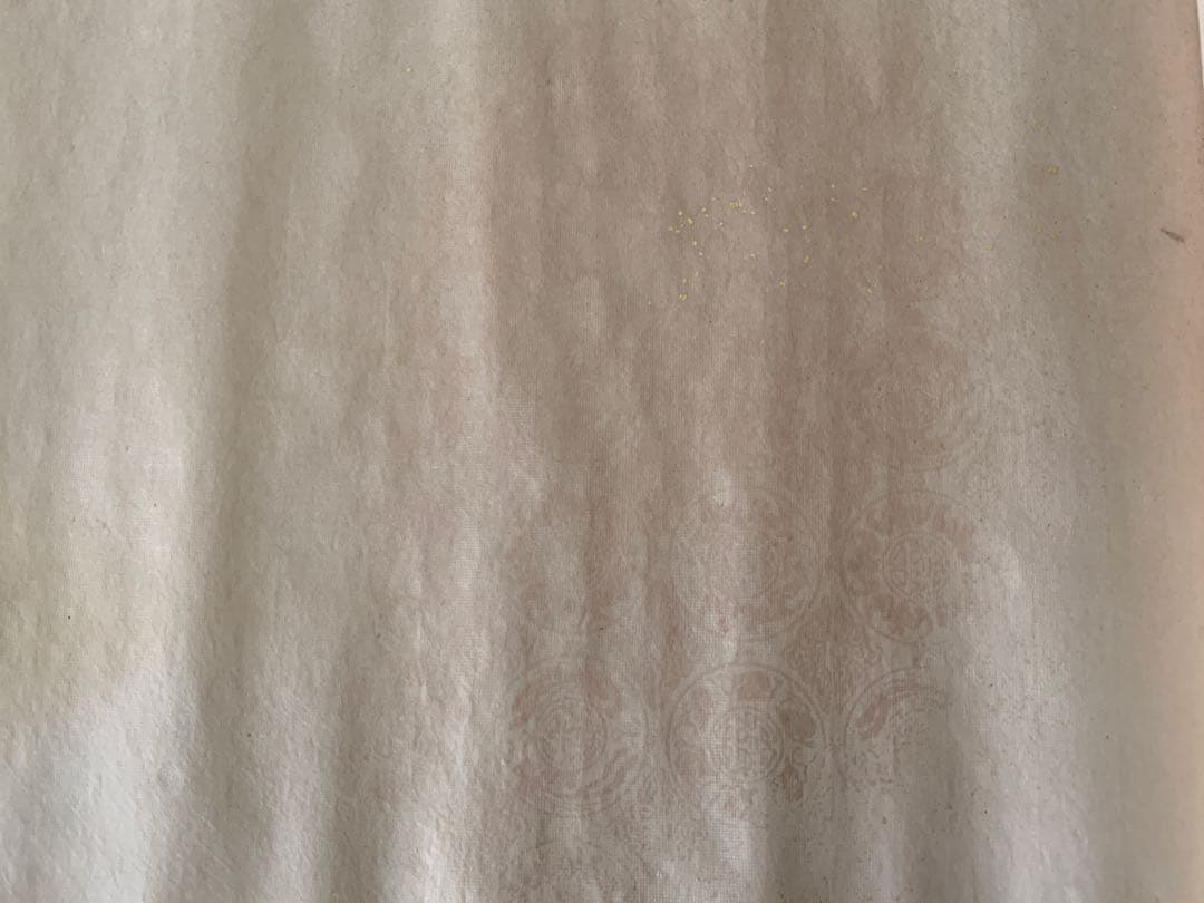 『X017』仮名　半切料紙　紋打ぼかし砂子振り　10枚　半切・条幅