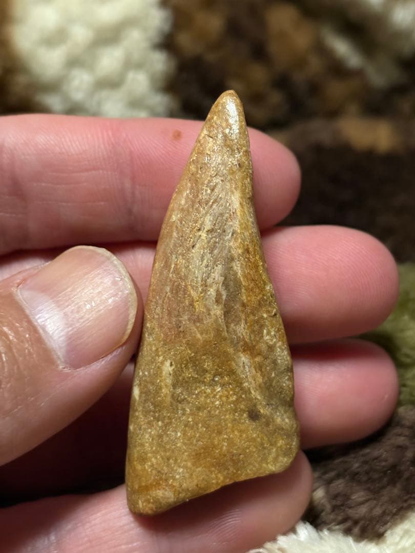 スピノサウルス　フットフロウ　化石