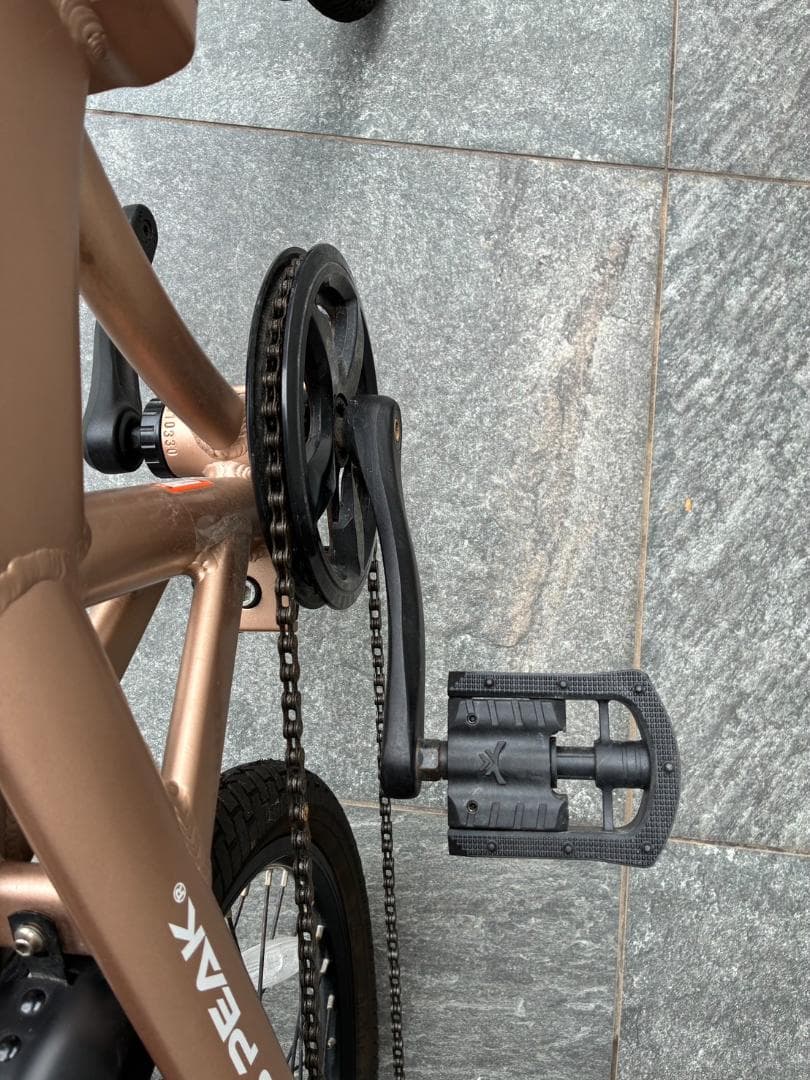 【引き取り限定】X20 折りたたみ電動アシスト自転車 Pykes Peak