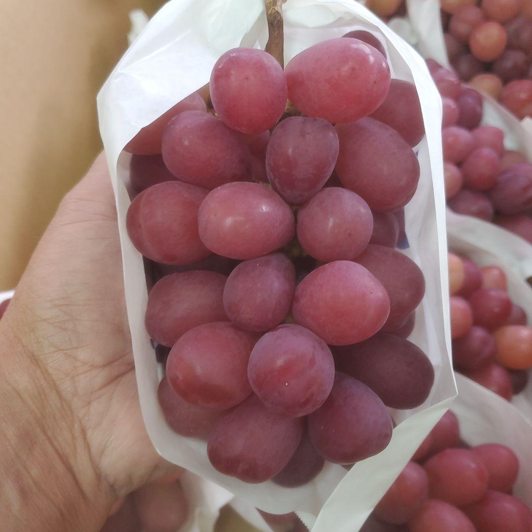 1⃣0️⃣山梨県産 マイハート ９房入り 箱込み5.7キロ