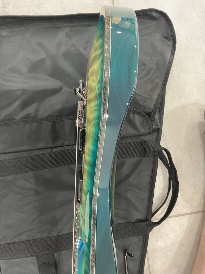 ギター Schecter Hellraiser C-1 fr