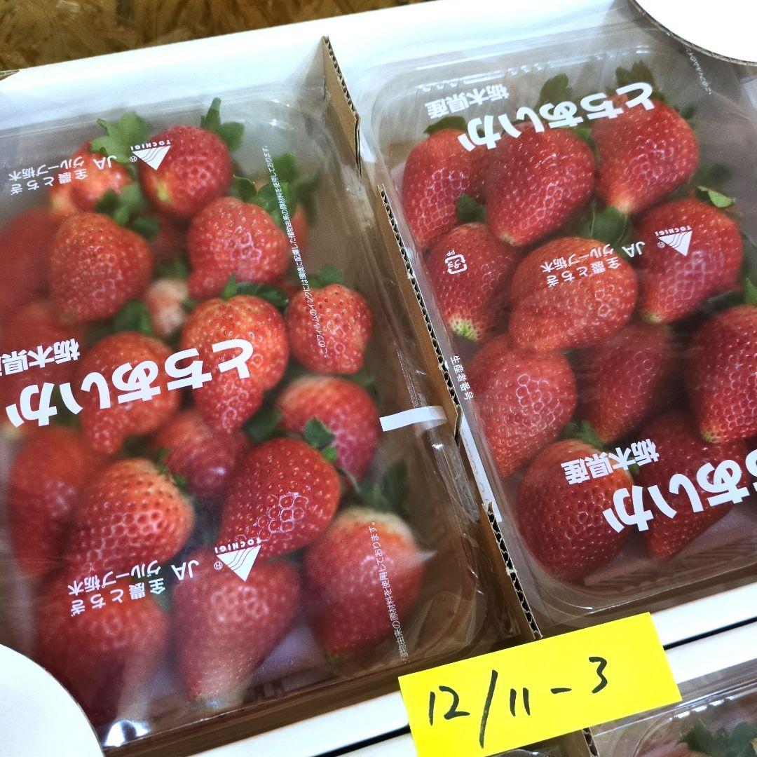 けん様 栃木県産いちご　とちあいか　規格外1.4kgx8箱