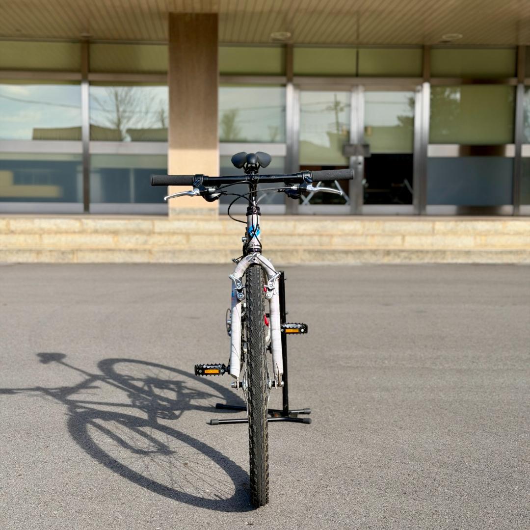 DIAMOND BACK AVENIR equipped26インチ