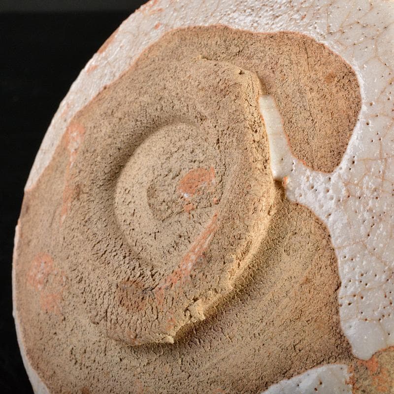 茶道具　志野焼　絵志野　茶碗　裏千家十五代鵬雲斎極め箱　M　R6825