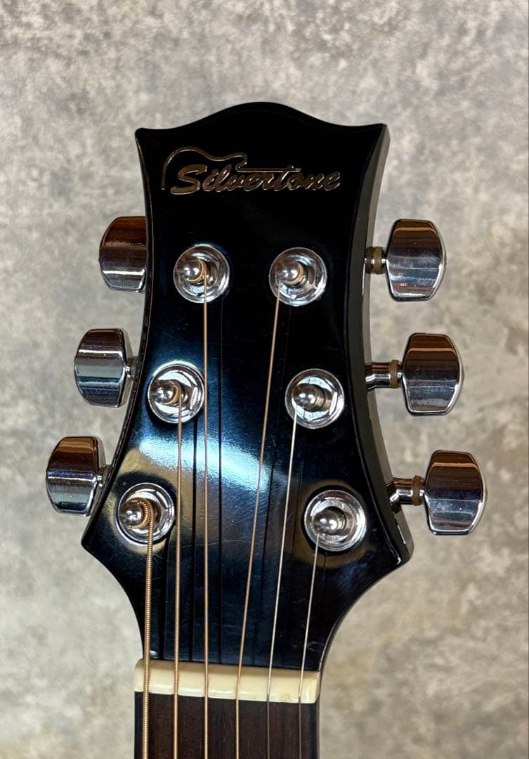 【希少】KISS ポール・スタンレー Silvertone PS D1 BK