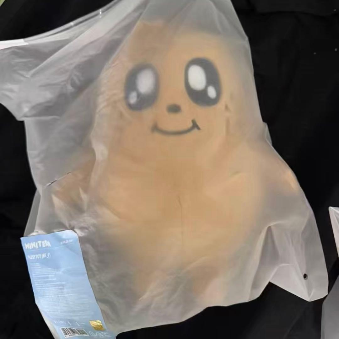 キムジャ　ぬいぐるみ　ミニティーン　SEVENTEEN