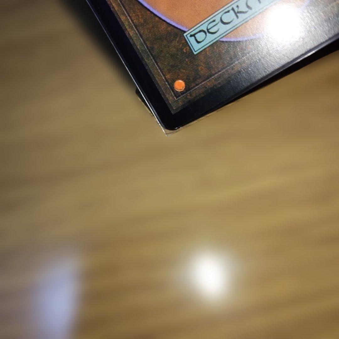 フェアリーの忌み者　日本語　foil