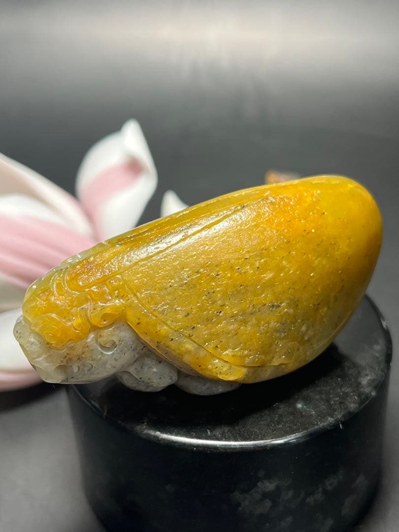 本物和田玉★籽料★青花黄皮！招財モチーフ龍亀証明書付き