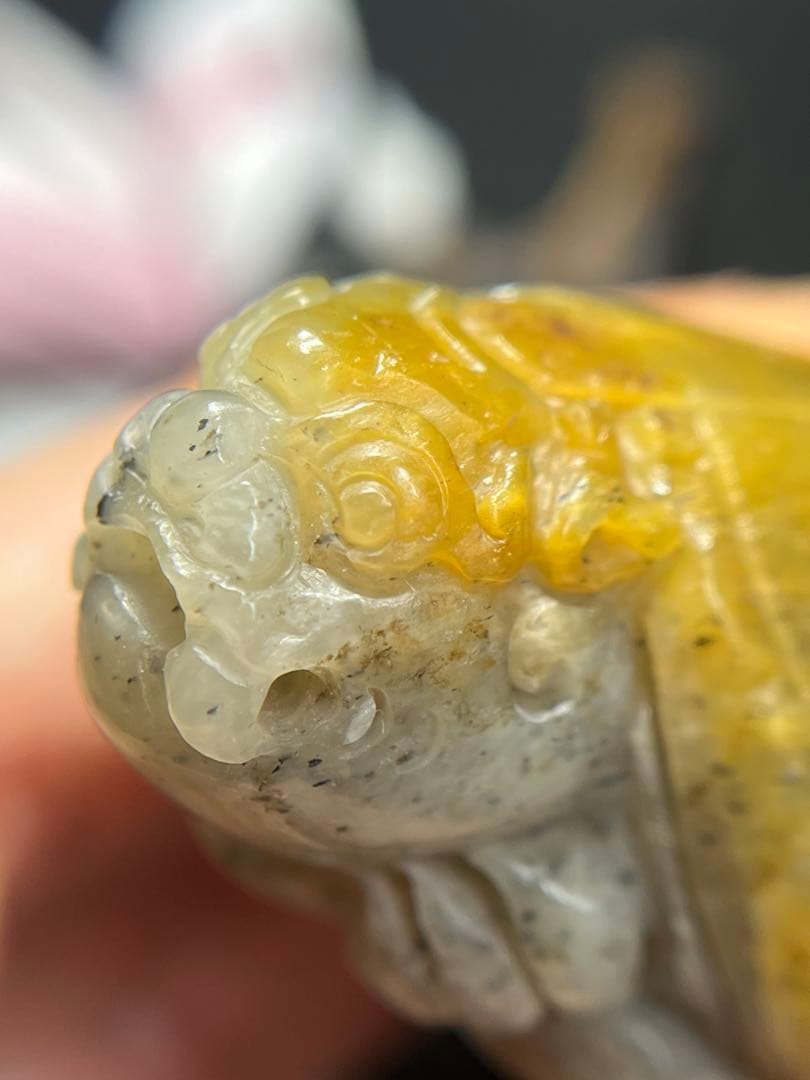 本物和田玉★籽料★青花黄皮！招財モチーフ龍亀証明書付き