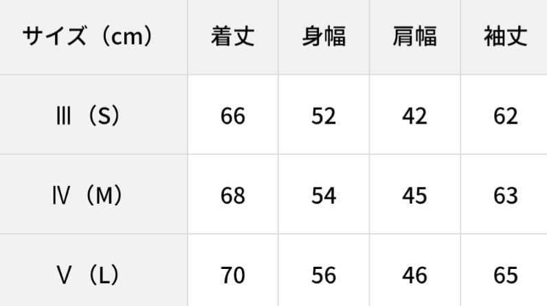1PIU1UGUALE3 SPORT テープロゴパーカー
