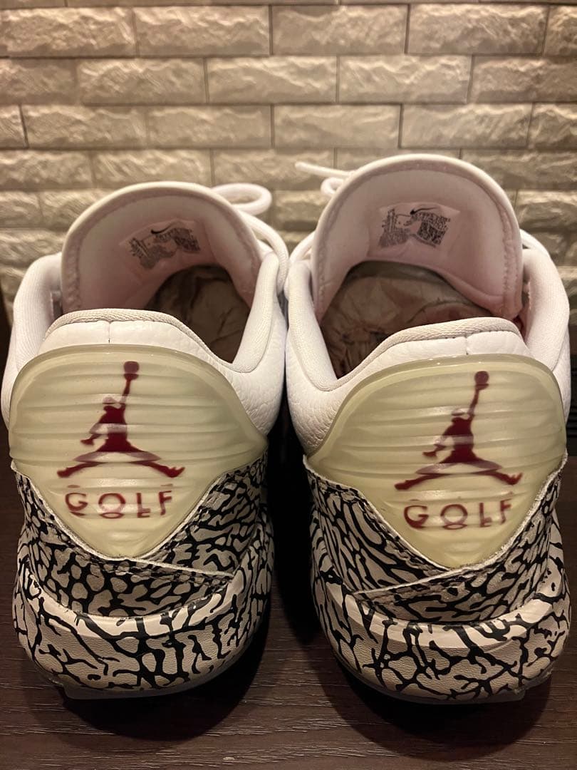 シューズ(男性用) NIKE JORDAN ADG AR7995 100