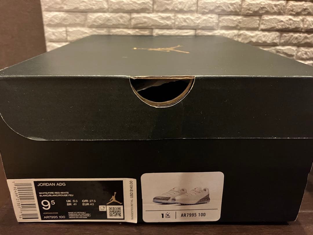 シューズ(男性用) NIKE JORDAN ADG AR7995 100