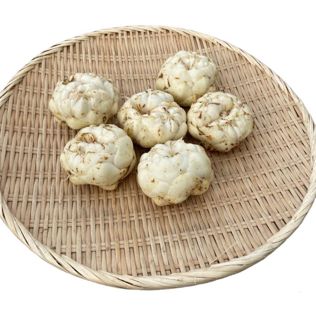 aoi_soranomukou出品