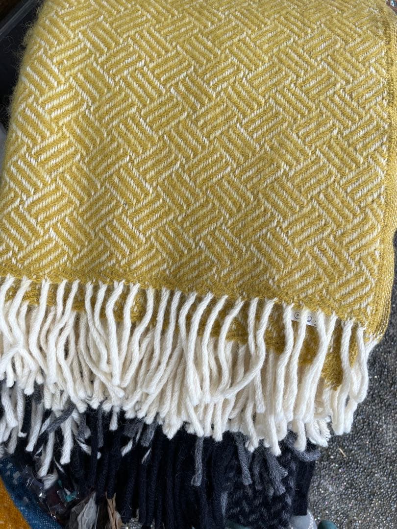 C*o様 【クリスマスSALE】新品クリッパン/samba yellow ブラン