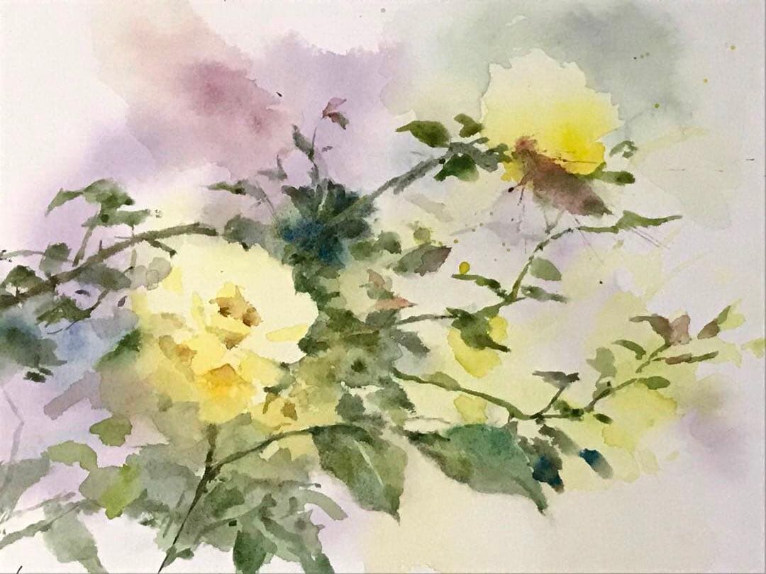 黒川達也　「黄薔薇」 水彩画　真作　宮永岳彦師事　シートの状態　額無し