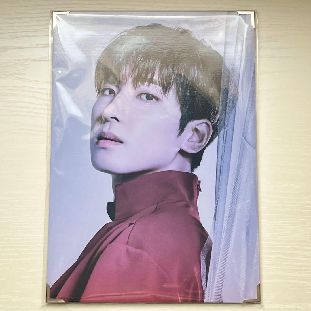 SEVENTEEN ウォヌ wonwoo うちわ プレミアムフォト セット