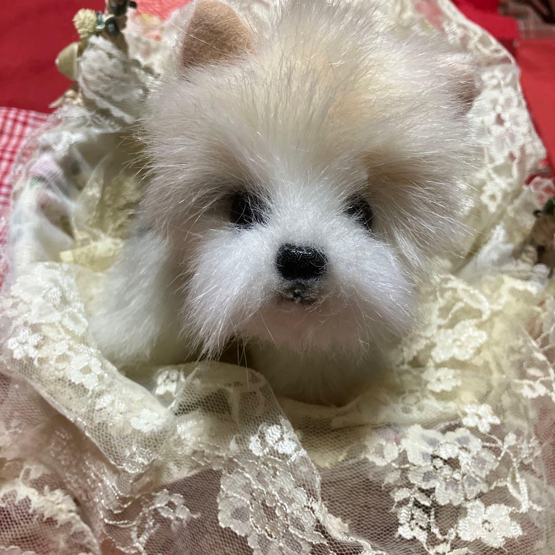 ぬいぐるみ　犬　ヨークシャテリア　子犬　わんちゃん　リアル　テリア　ヨーキー