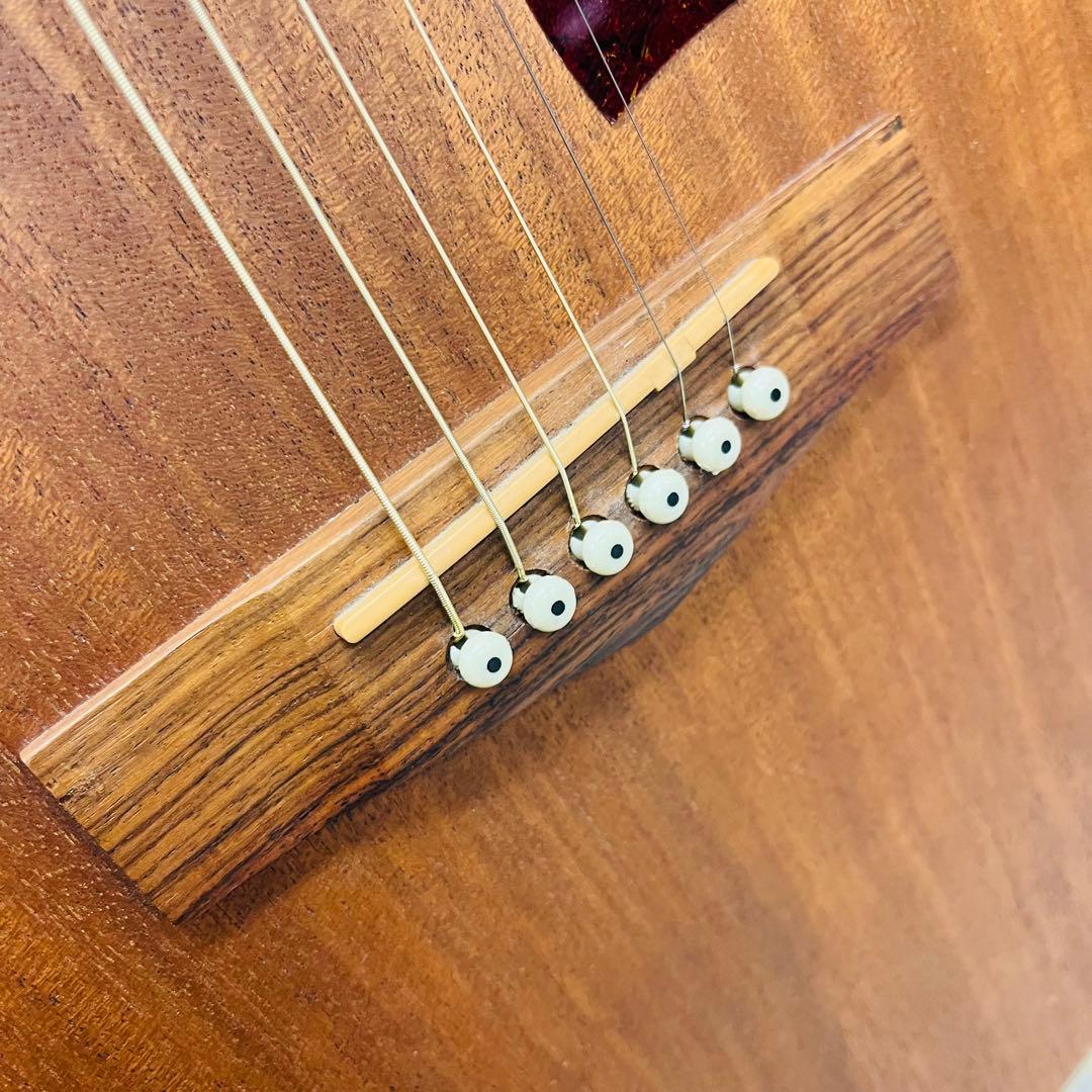 Ibanez アコースティックギター Artwood AC50MH-RLG