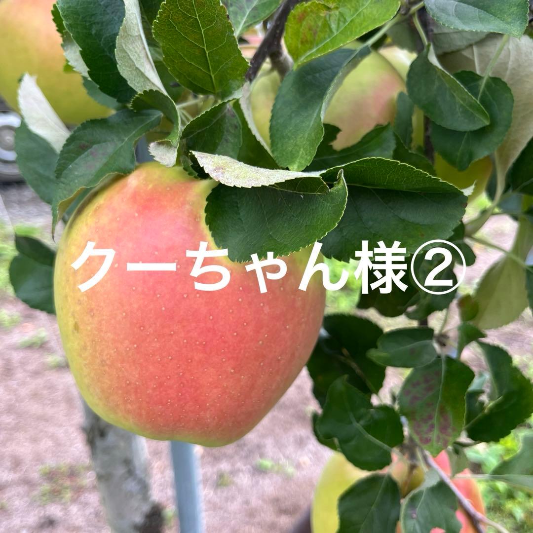 クーちゃんページ✨10kg②