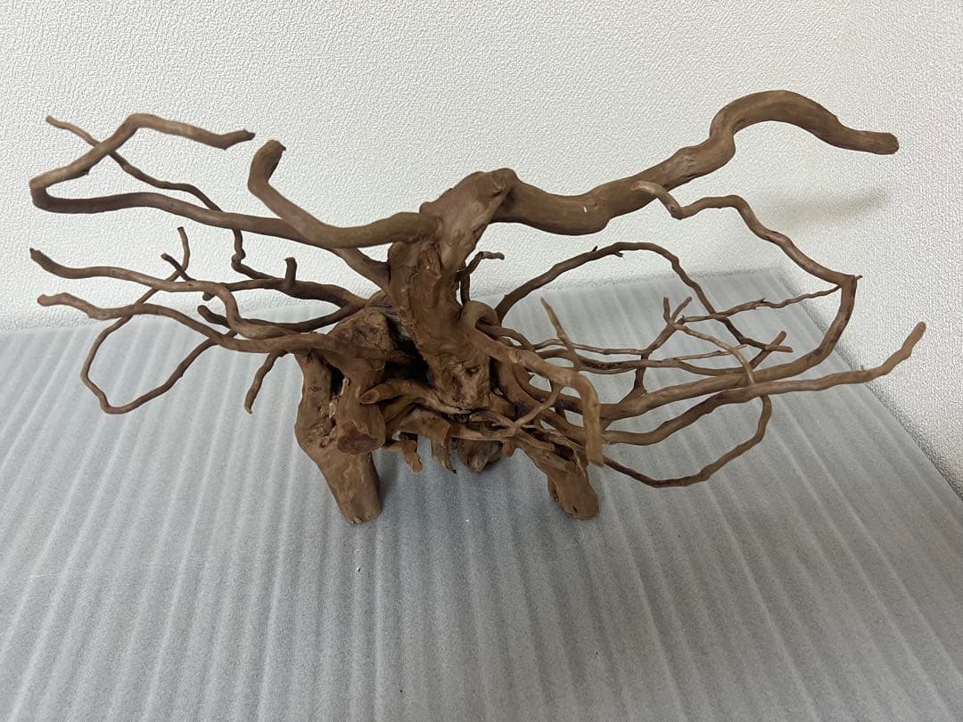 32613 ブランチウッド　流木　アクアリウム